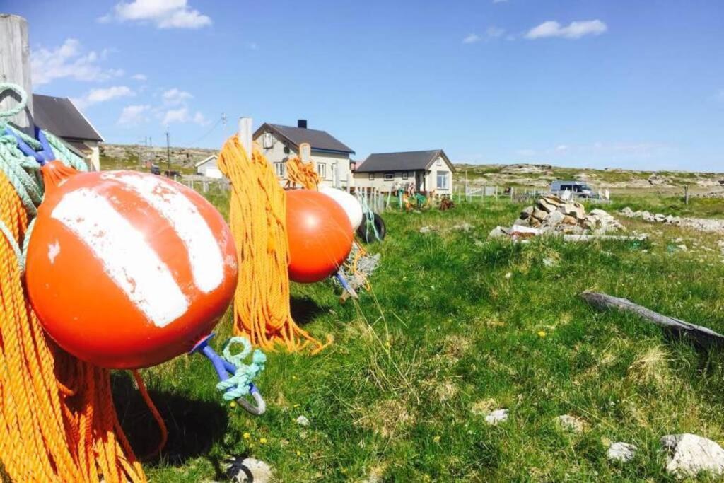 Arctic House By The Sea, Vadso, Varanger Kültér fotó